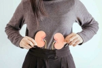 Kidneys Health habits, Kidneys Health morning habits, morning habits to keep your kidneys healthy, Apples