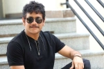 Nagarjuna upcoming movie, Nagarjuna 100th film, nagarjuna s 100th film locked, Bangarraju