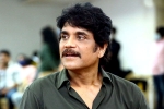 Nagarjuna news, Nagarjuna periodic drama, nagarjuna in a periodic drama, God father