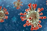 Coronavirus, China Covid Row breaking news, new china coronavirus variant traced in india, International travelers