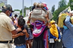 vikas khanna, vikas khanna, plight of migrant workers baby shakes to wake up deceased mother, Ashok bhushan