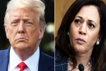 Joe Biden, Amy Tripp statement, astrologer predictions about the new us president, Us presidential elections 2024