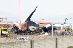 South Korea Plane Crash cause, South Korea Plane Crash cause, pilot made mayday call and mentioned bird strike in south korea plane crash, Runway