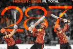 Sunrisers Hyderabad in IPL 2024, Sunrisers Hyderabad news, sunrisers hyderabad scripts history in ipl, Royal challengers bangalore