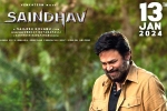 Saindhav release news, Saindhav breaking updates, venkatesh s saindhav locks new release date, Shraddha
