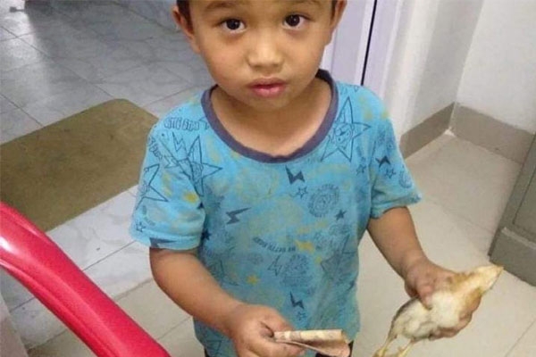 Mizoram Kid Accidentally Injures a Chick and Takes It to Hospital with All Money He Had